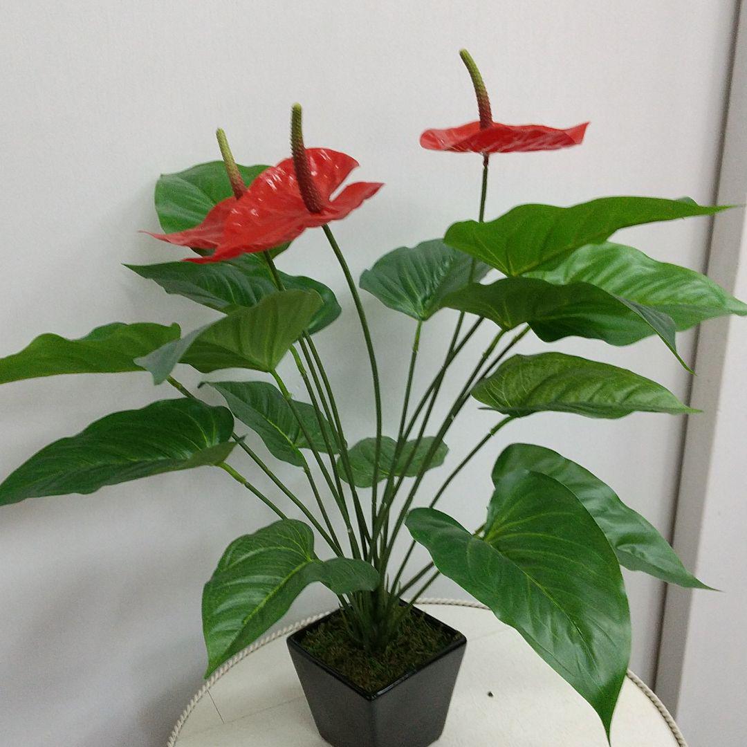人気ブランド 光触媒 アンスリウム 鉢植え 造花 フェイクフラワー おしゃれ人気