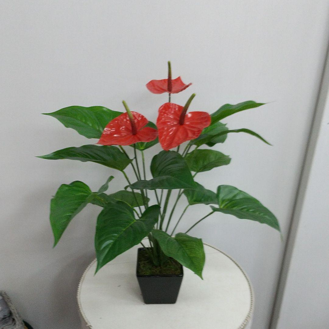 人気ブランド 光触媒 アンスリウム 鉢植え 造花 フェイクフラワー おしゃれ人気
