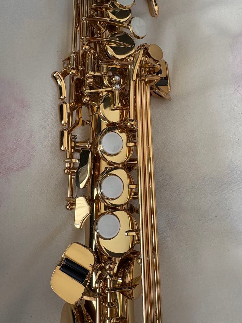 セルマーMP付き