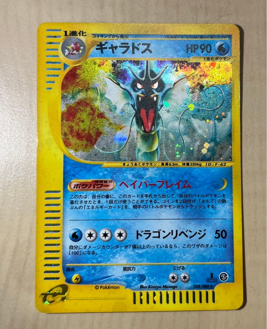 美しい ポケモンカード E ギャラドス ポケモンカードゲーム Www Grandinnakuta Com 美しい ポケモンカード E ギャラドス ポケモンカードゲーム Www Grandinnakuta Com