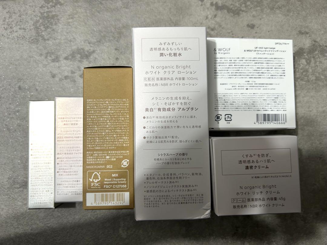 N organic ベーシック　スキンケアセット　ファンデーション　バランシング