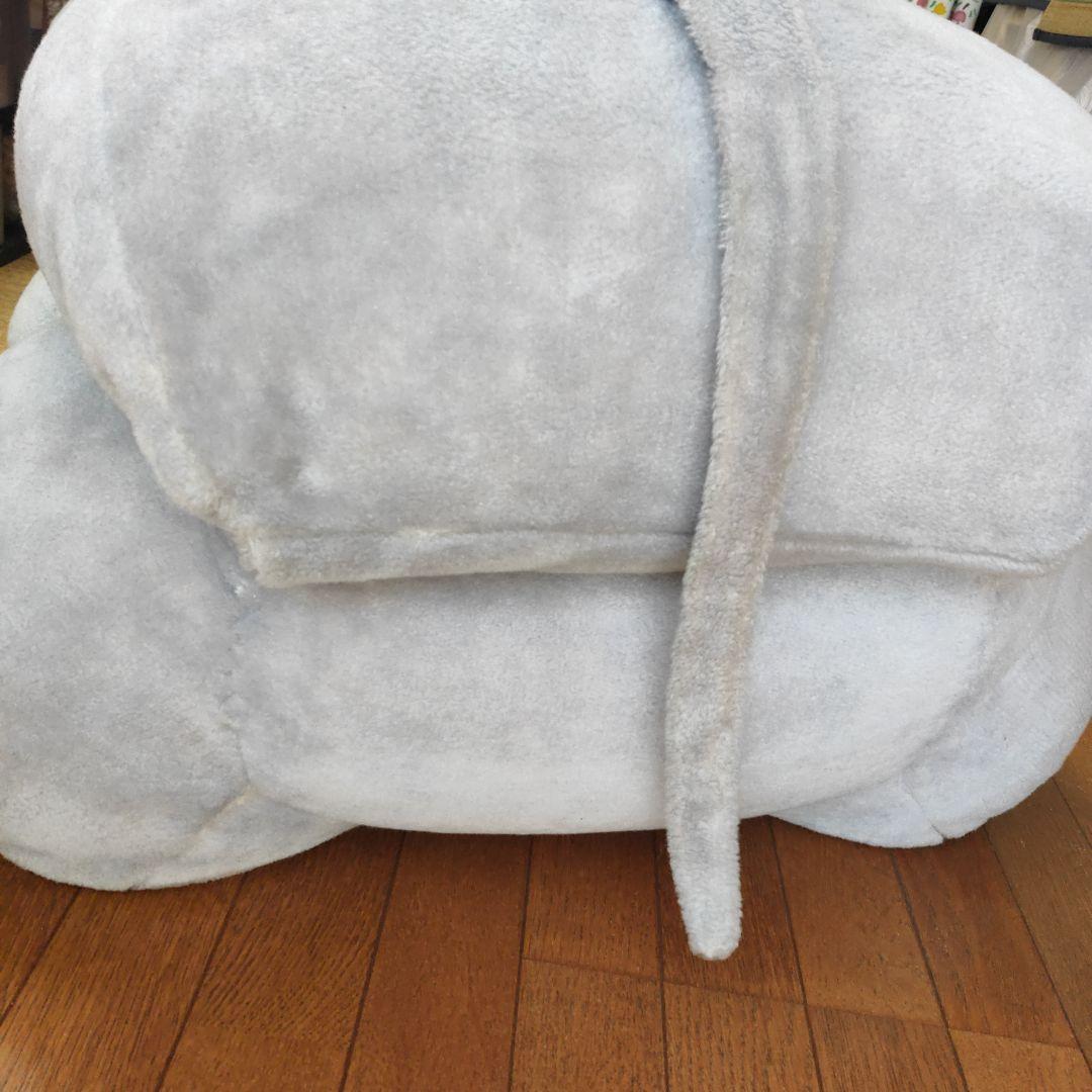 大きい