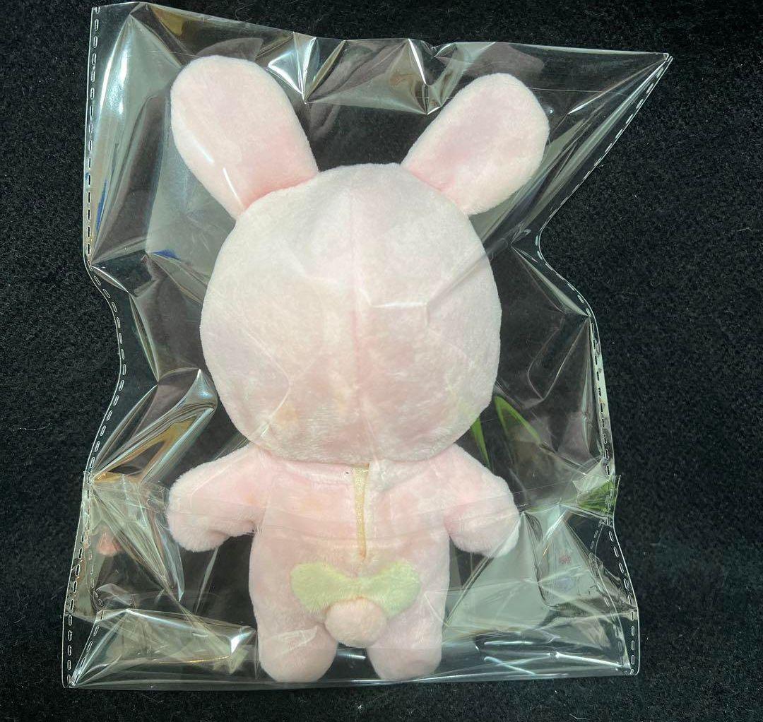 BTS ジョングク　ぬいぐるみ　15cm 洋服付き　マスター