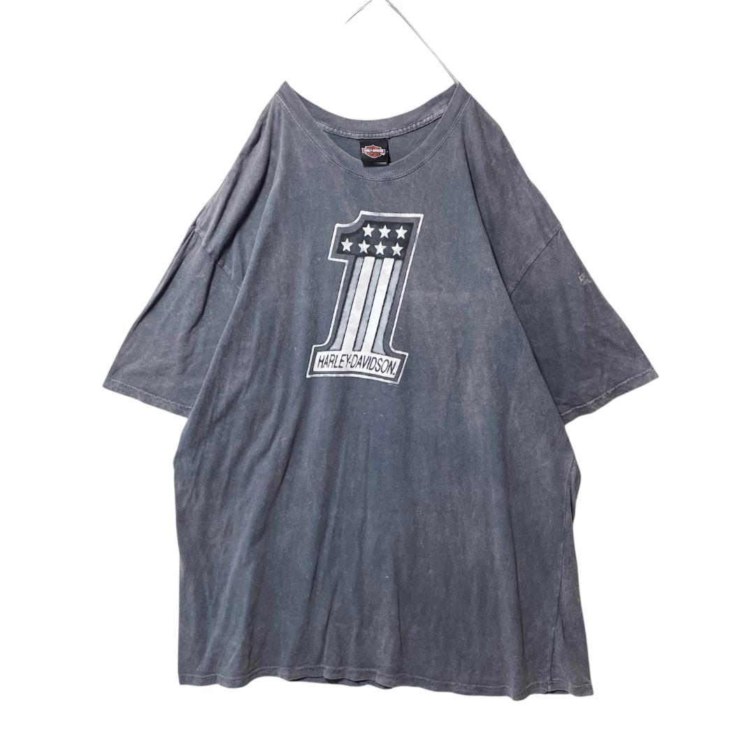 古着 ハーレーダビッドソン ジャクソンホール Tシャツ ナンバー1 風景 3XL
