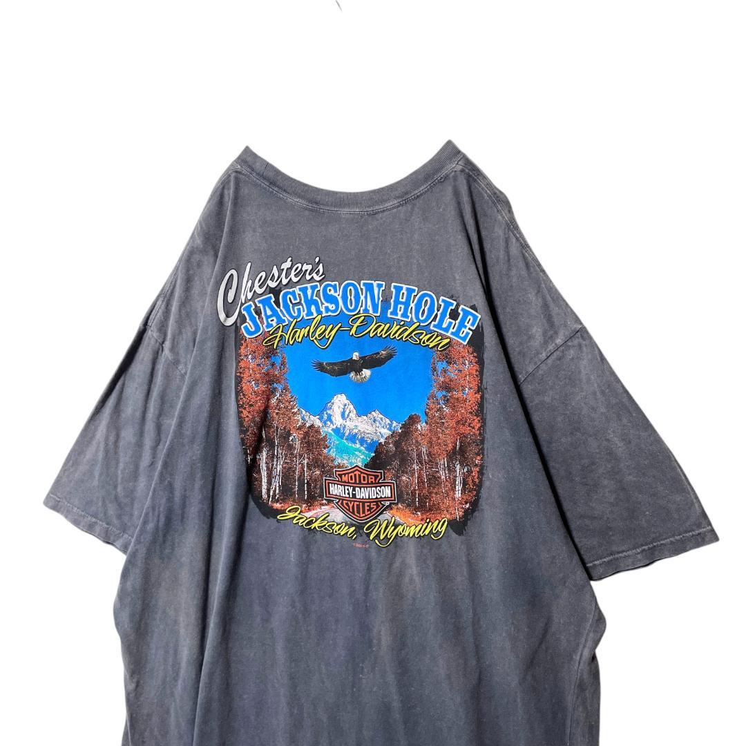 古着 ハーレーダビッドソン ジャクソンホール Tシャツ ナンバー1 風景 3XL
