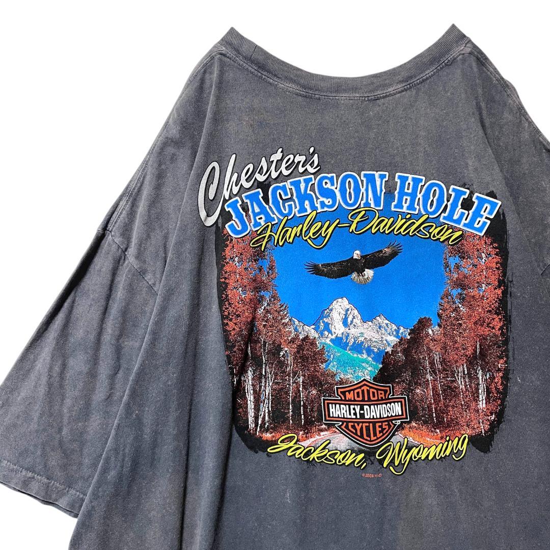 古着 ハーレーダビッドソン ジャクソンホール Tシャツ ナンバー1 風景 3XL