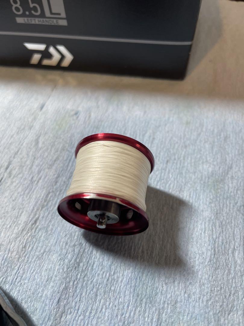 DAIWA SS AIR TW 8.5L ベイトリール