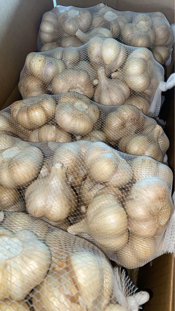 新物　青森県にんにく5Kg L