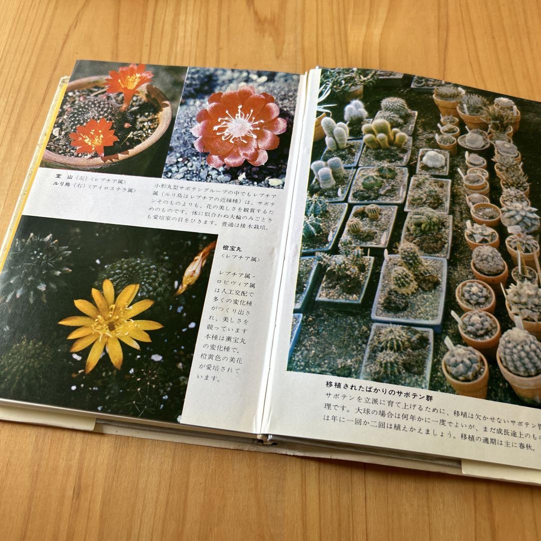 楽しいサボテン 河内節夫著 日東書院