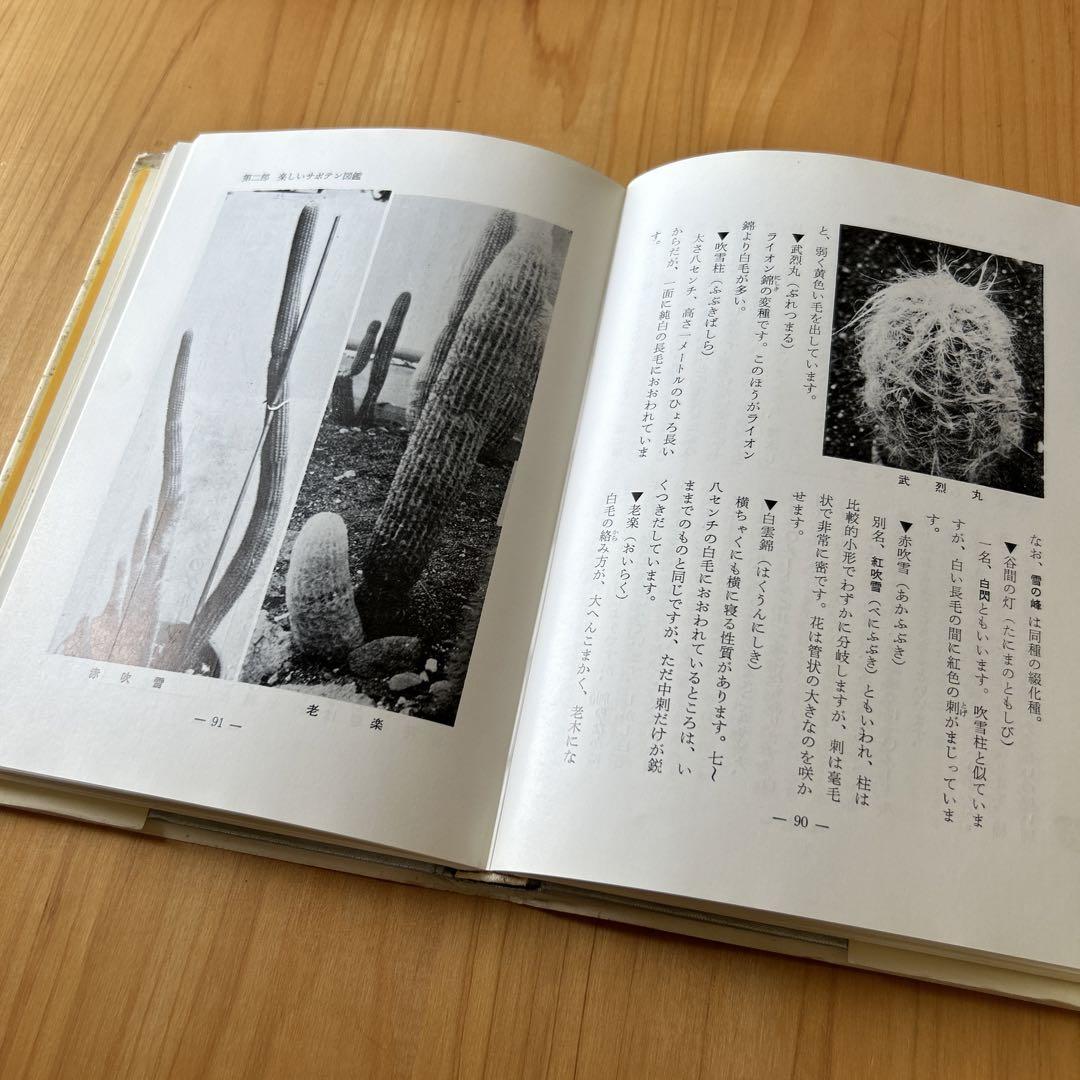 楽しいサボテン 河内節夫著 日東書院