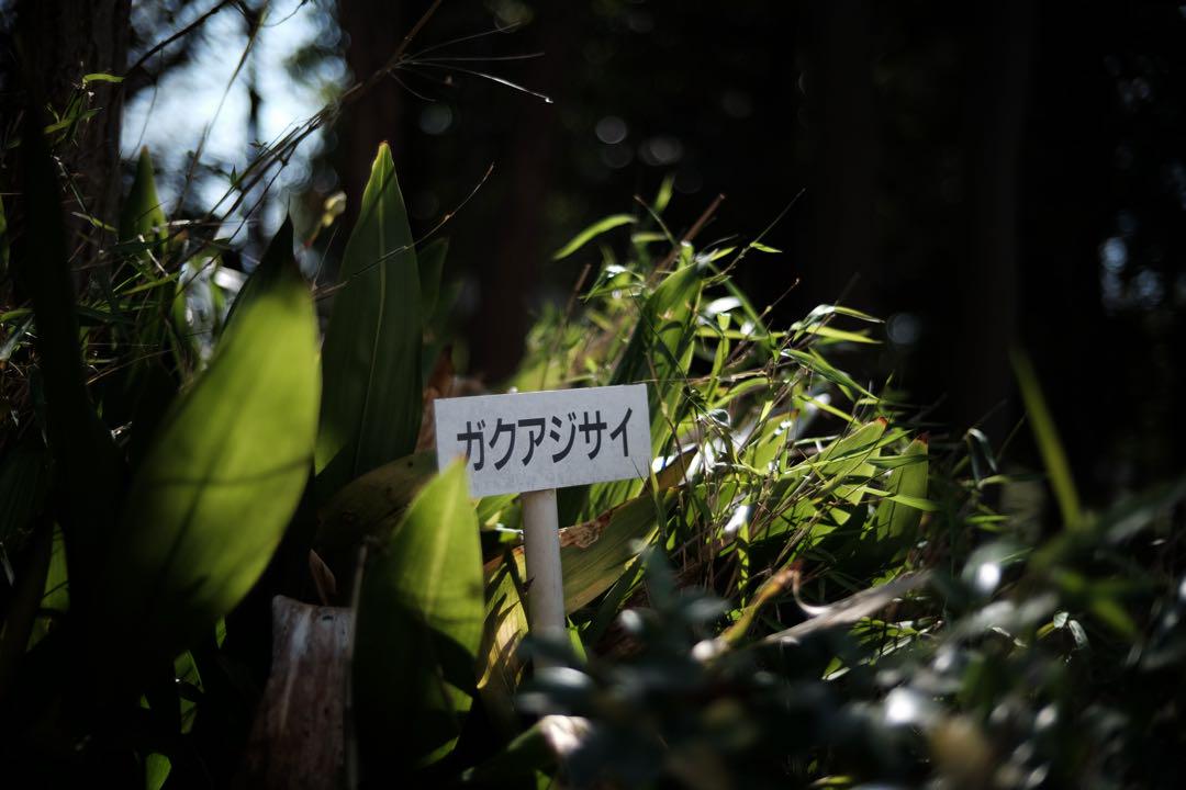 極美品FUJIFILM X-T1 デジタルカメラ フルセットシャッター104回