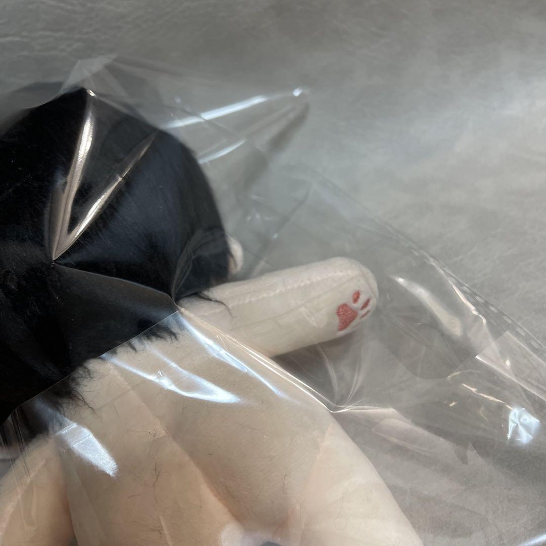 enhpen ジェイ　20cm ぬいぐるみ　新品　マスター