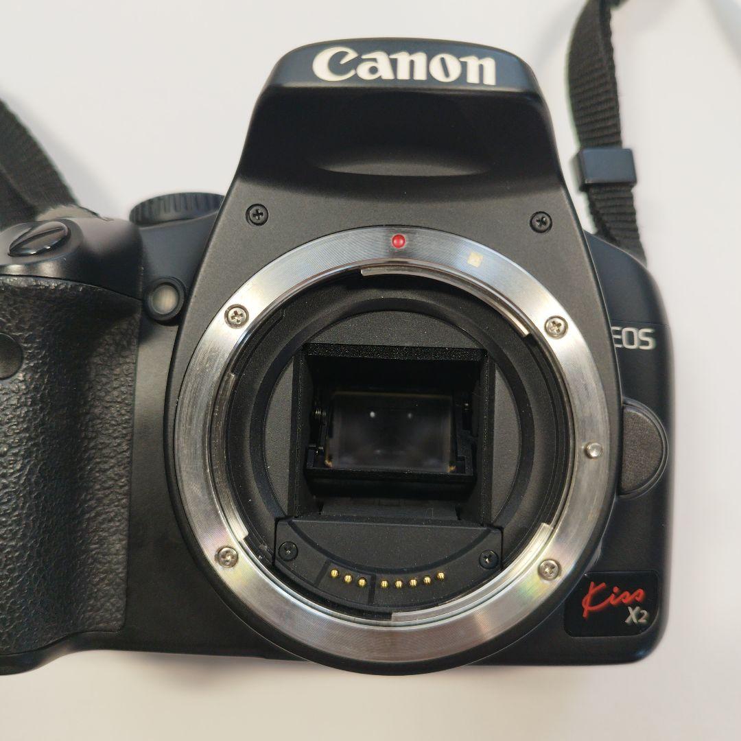 Canon EOS 1N x2 パーツ　ジャンク品 Canon EOS 1N x2 パーツ ジャンク品 フィルムカメラ
