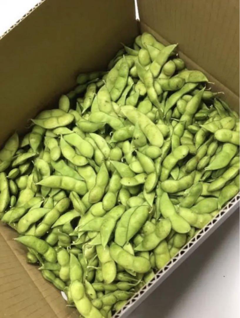 E-04】本だだちゃ豆 1.5㎏（250g×6袋） | だだちゃ豆 | チェリー