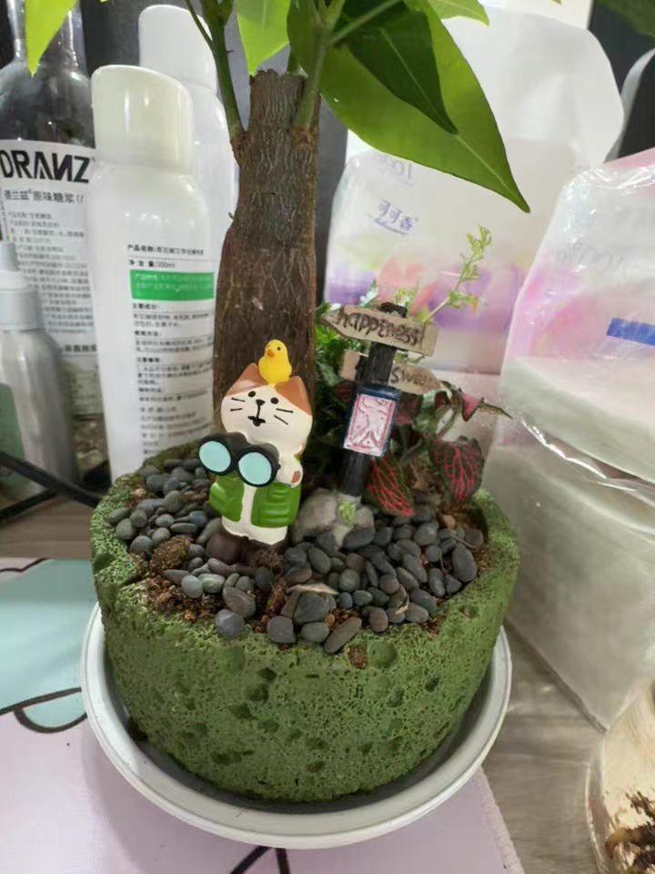 猫のフィギュア付き観葉植物盆栽
