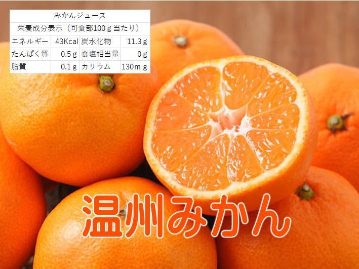 濃厚美味・濃縮還元してないみかんジュース1000ｍｌ×12本 濃厚美味！