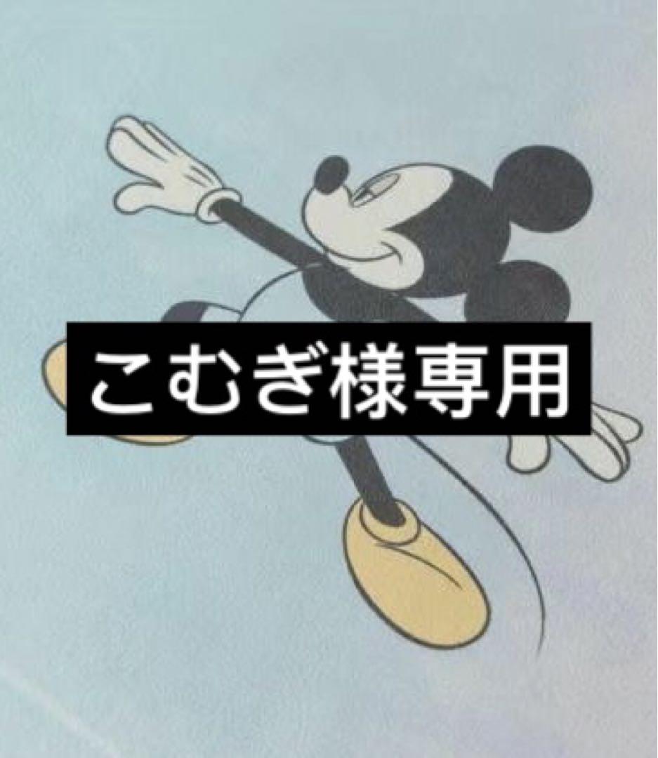 こむぎ様専用