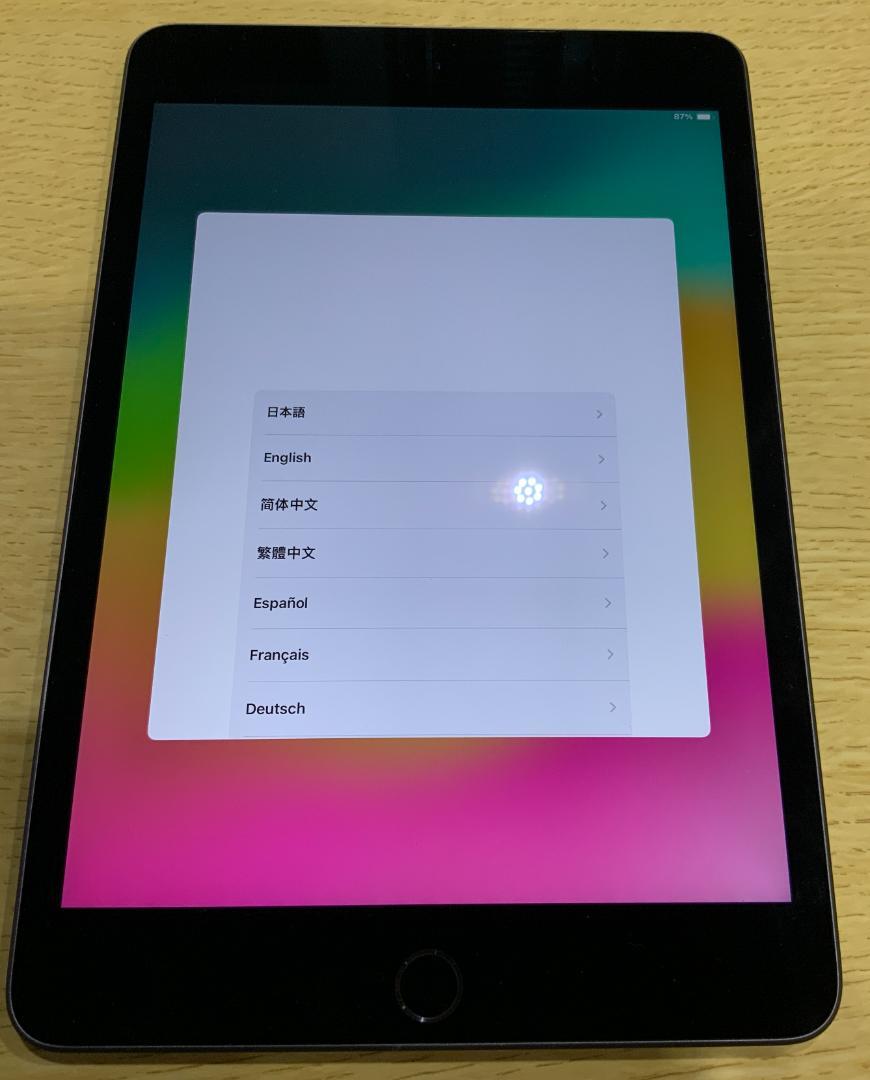 iPad mini(第5世代)256GB＋Apple Pencil(第1世代)