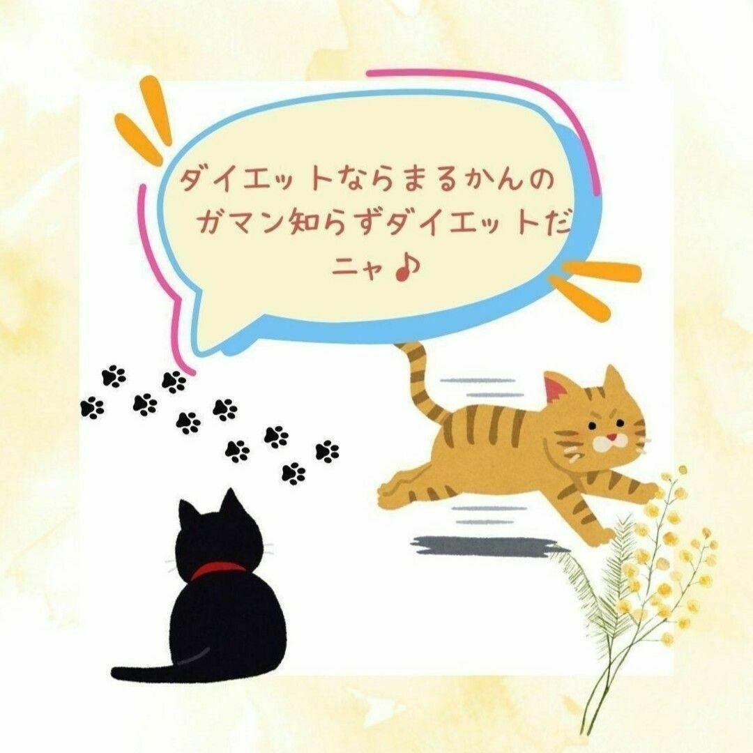 やせ人 銀座まるかん ダイエット食品 やせじん