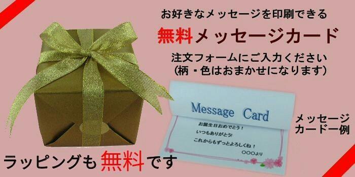 ジカード∍ 新品 入学祝 ラッピング無料GM-2100N-2AJF lCzU1-m21864029100 未開封 激安3日間 ラッピング