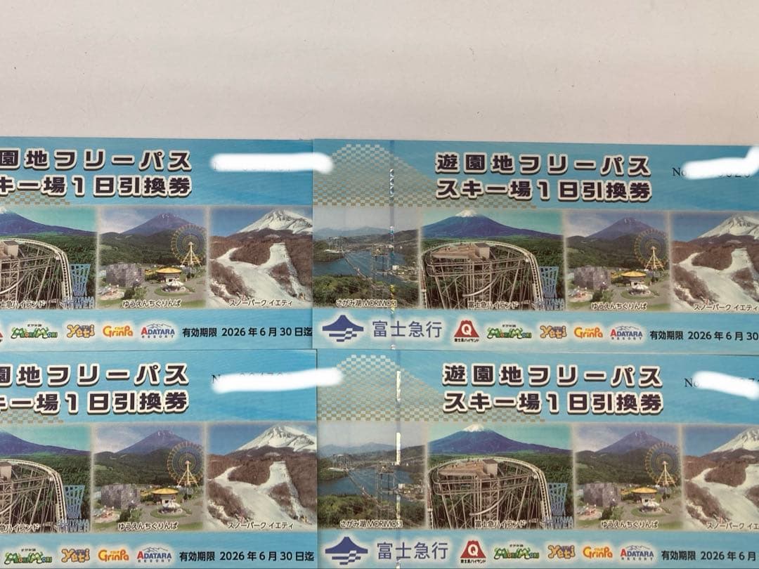 富士急ハイランド　フリーパス　２枚