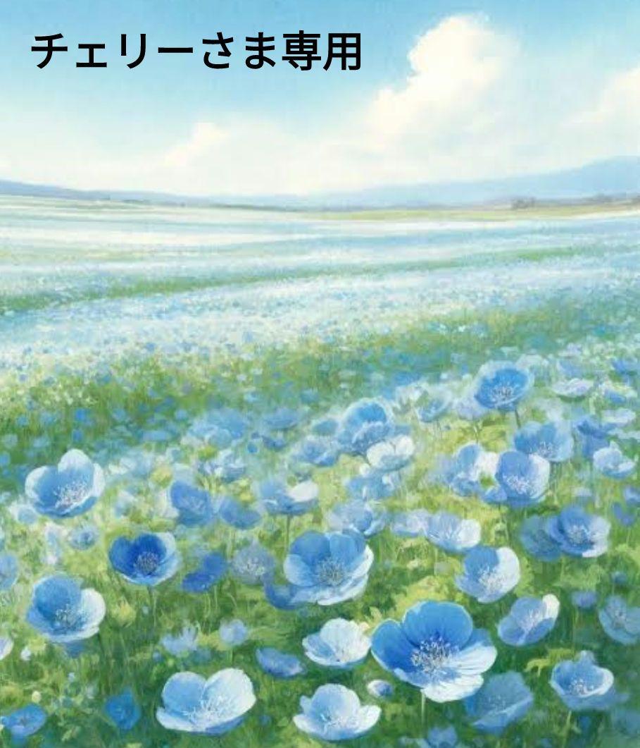 チェリーさま専用ページです。
