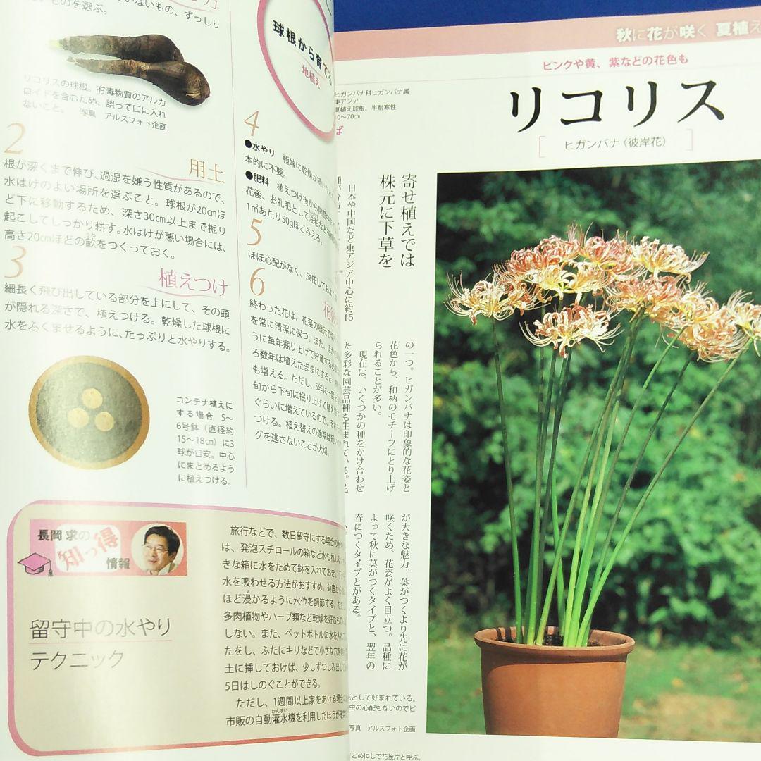 メルカリ 雑誌 週刊 野菜づくり花づくり No キャベツ コールラビ ネリネ 趣味 スポーツ 330 中古や未使用のフリマ メルカリ 雑誌 週刊 野菜づくり花づくり No キャベツ コールラビ ネリネ 趣味 スポーツ 330 中古や未使用のフリマ