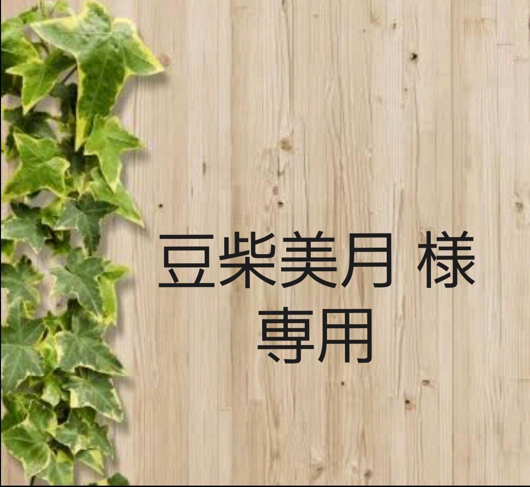 【豆柴ページです】 豆柴美月 様専用ページです