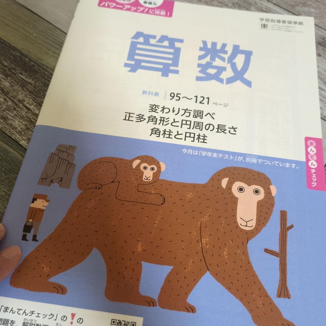 小学5年生(10～11歳)の教材「小学ポピー5年生」｜子供向け通信