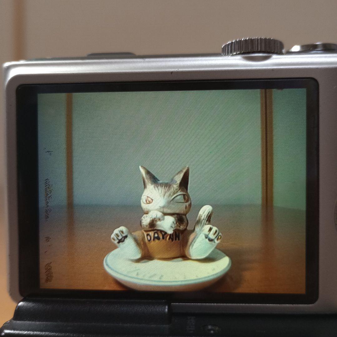 【箱付】Panasonic パナソニック LUMIX DMC-TZ10