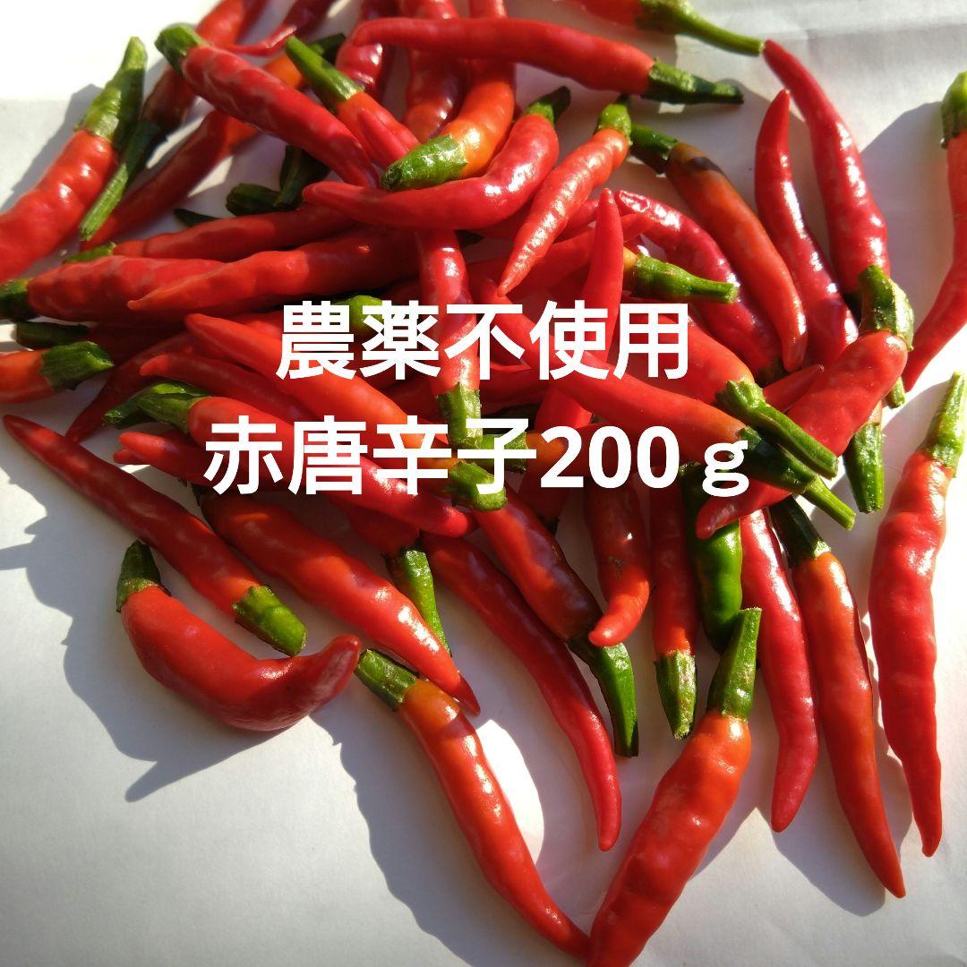 農薬不使用 赤唐辛子200g（生） - メルカリ