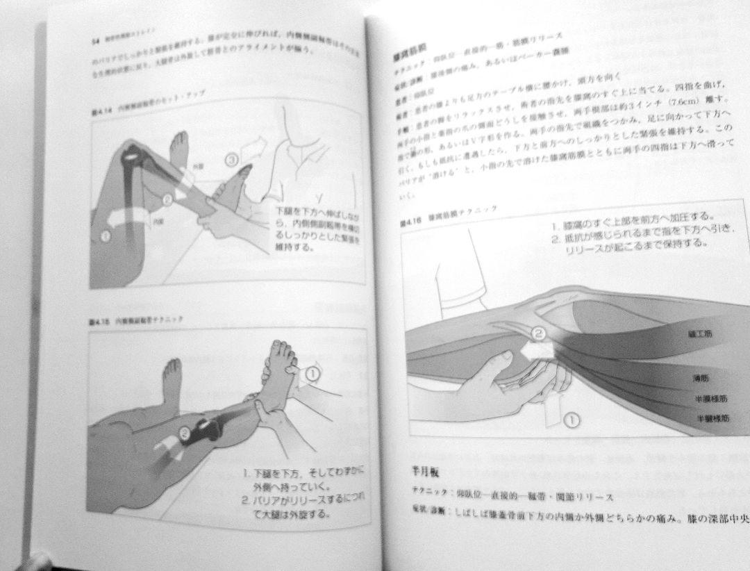 靱帯性関節ストレイン‥‥‥森田博也DO監訳（超美品