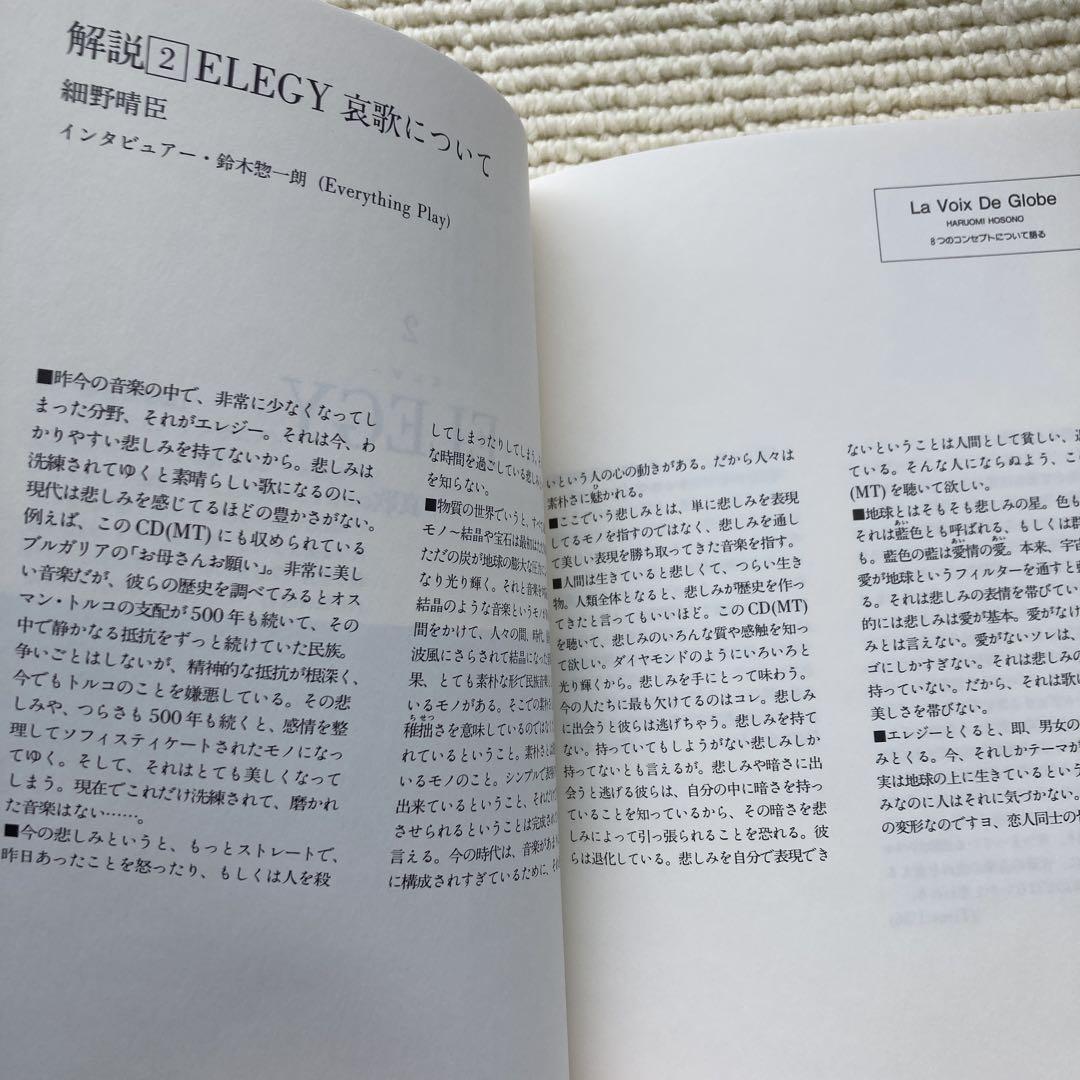 細野晴臣　選曲・監修　エスニックサウンドセレクション