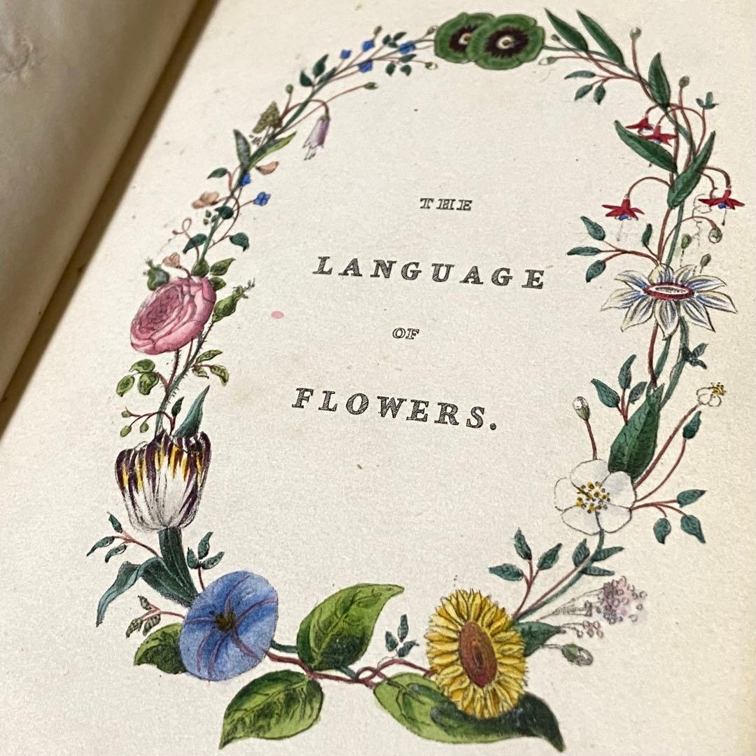 お気にいる】 激レア 超希少 イギリス 植物図鑑 アンティーク