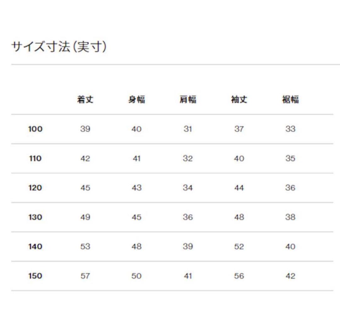 THE NORTH FACE キッズ　サイズ100ダウン アコンカグアフーディー