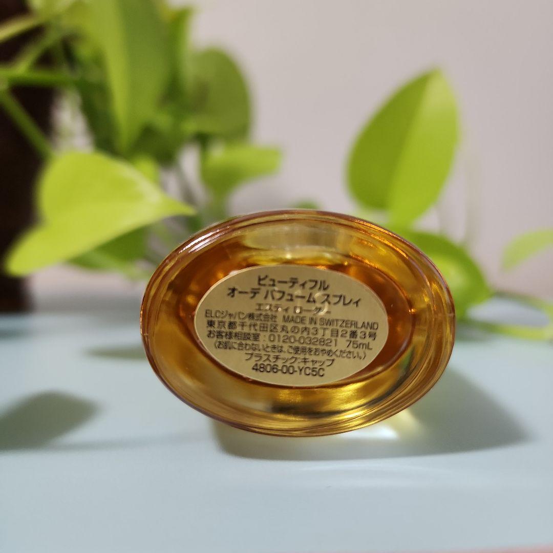 【2点おまとめ専用】 エスティローダー ビューティフル 香水 EDP 100ml