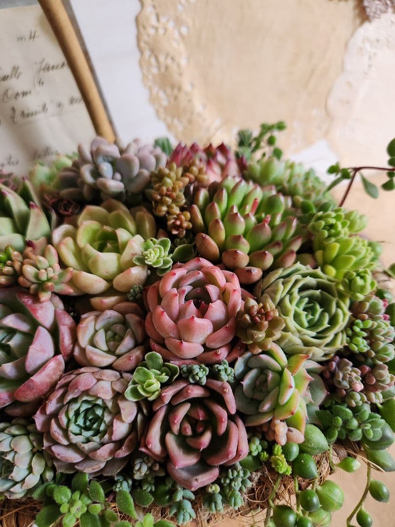 専用ページです 専用ページです