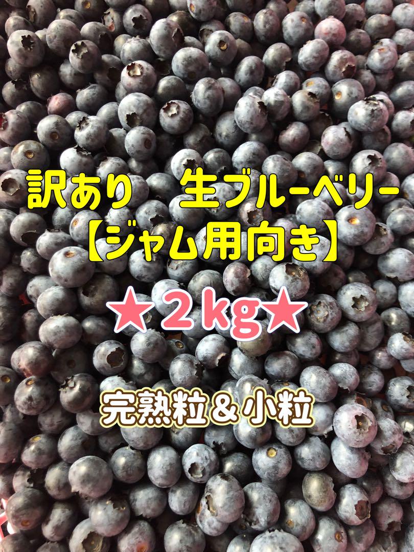 信州産★訳あり★生ブルーベリー2kg【クール便発送】【朝採り】【農薬不使用】