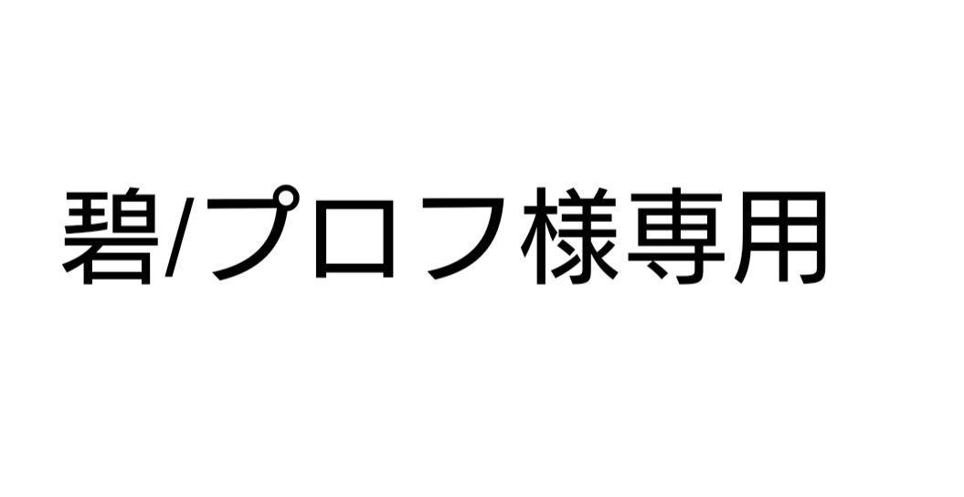 碧/プロフ様専用