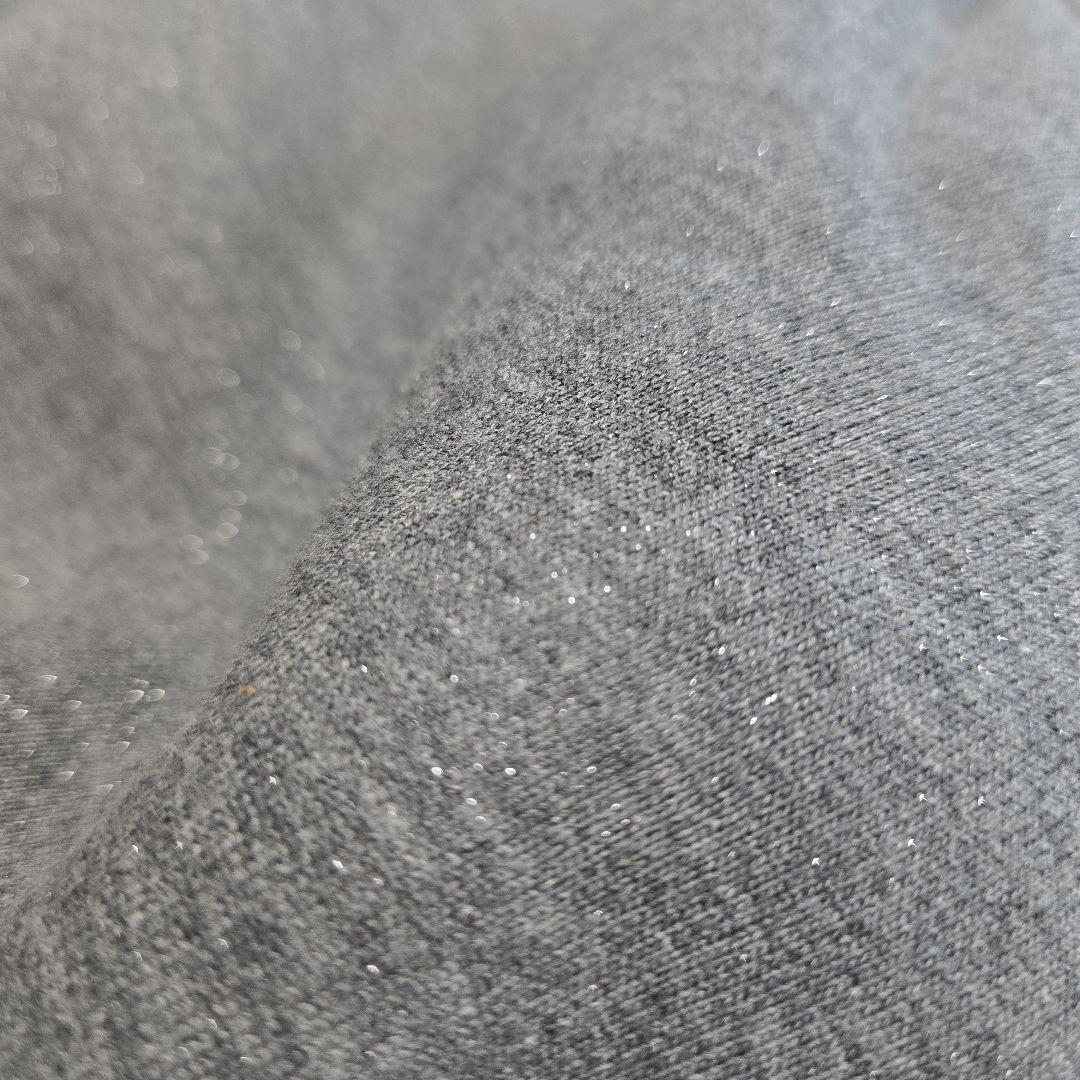 Alexander Wang.t アレキサンダーワン グリッタースウェット