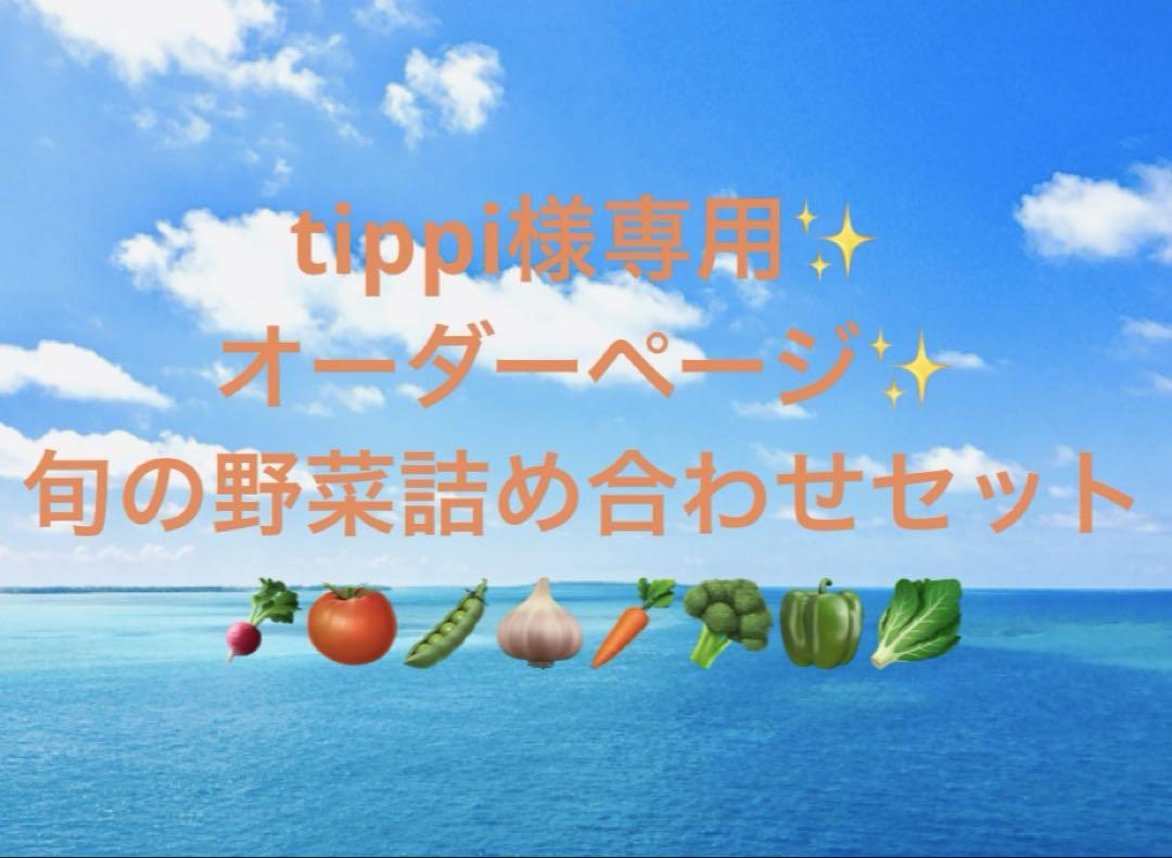 tippi様専用ページです！　旬の野菜詰め合わせセットです。