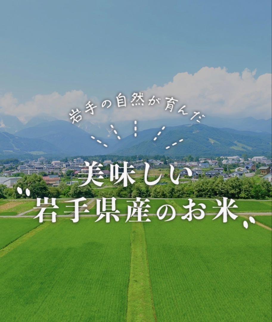 お米　精米【岩手県産無洗米銀河のしずく10kg】（5kg×2) 7年連続特A！