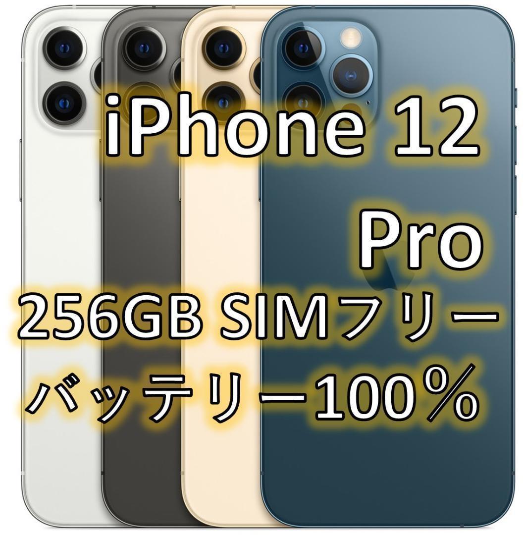 【Apple】iPhone12Pro 256GB グラファイト SIMフリー Amazon | 【整備済み品】 Apple iPhone 12 Pro 256GB