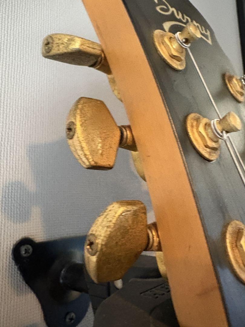 Burny（FERNANDES）MG-125S hideモデル　調整済
