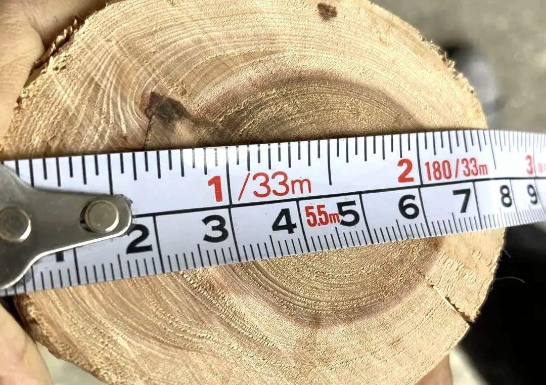 希少 樹齢150〜200年 杉枝 約126cm 鑑賞 庭 インテリア 骨董 天然