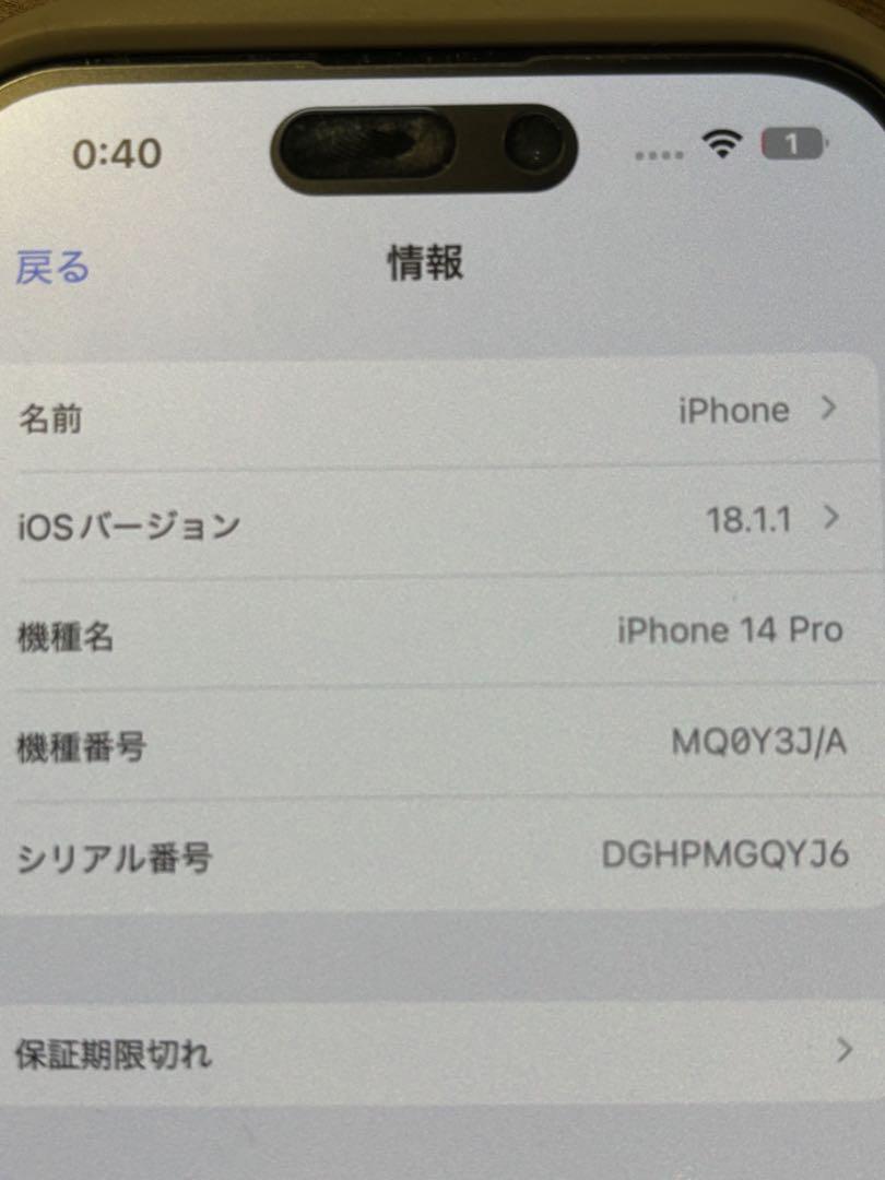 iPhone