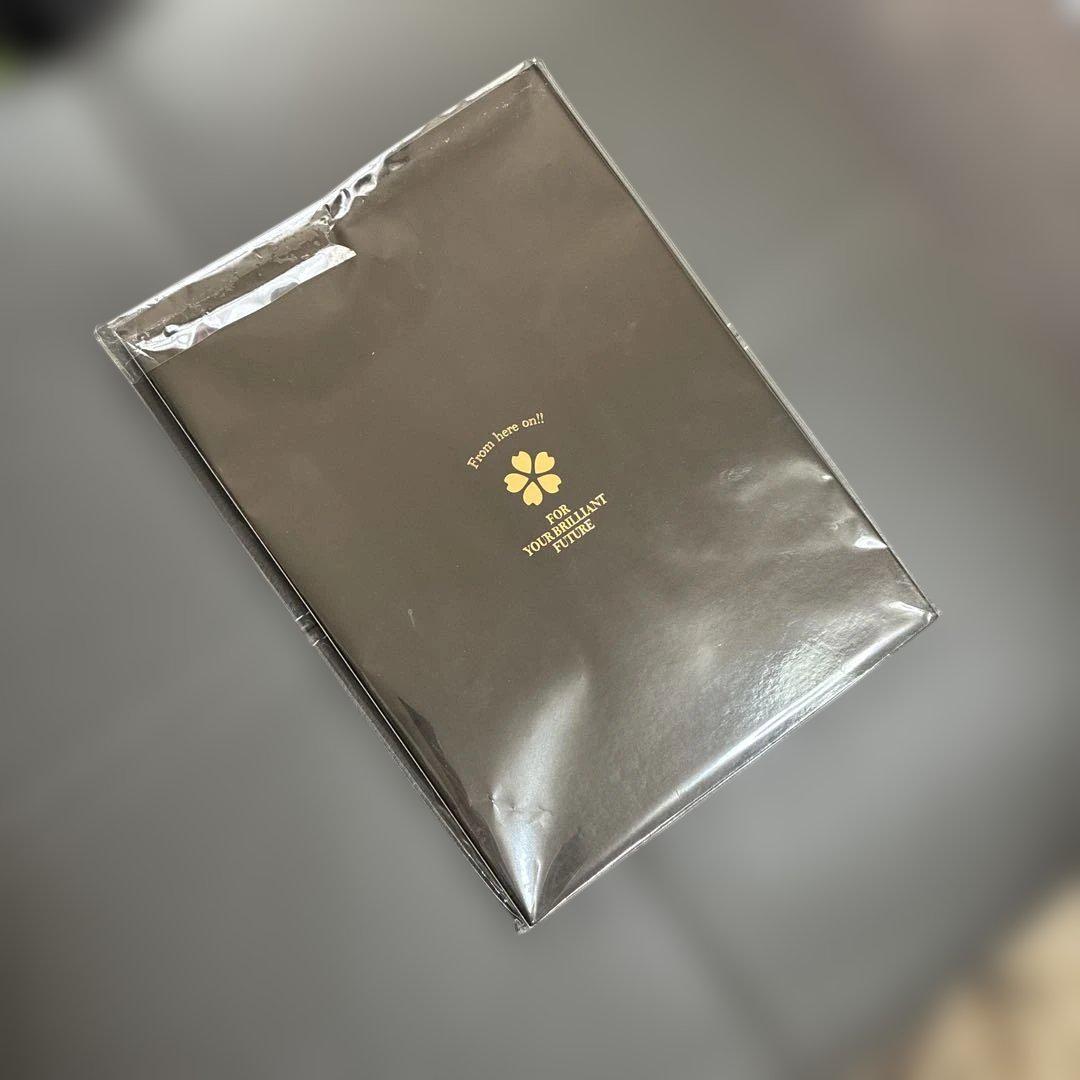 AKB48 大島優子 卒業記念クリアファイル