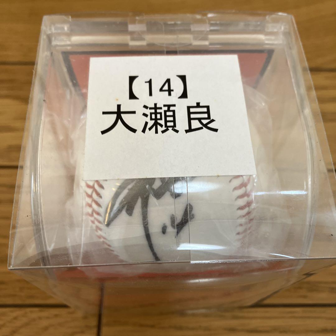 球団公認！大瀬良大地選手 直筆サインボール 広島東洋カープ