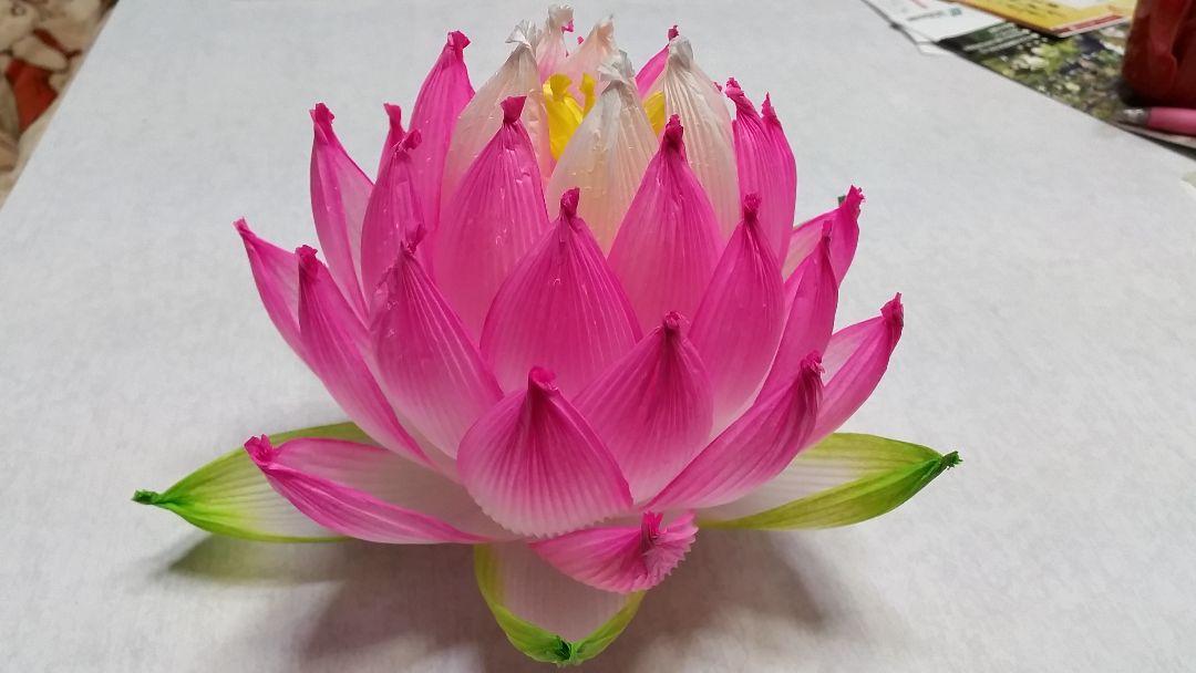 蓮の花の紙83 8色　24個　蓮の紙　韓紙　ハスの花　韓国 蓮の花の紙42 8色 8個 蓮の紙 韓紙 ハスの花 韓国 蓮紙 ハスの紙