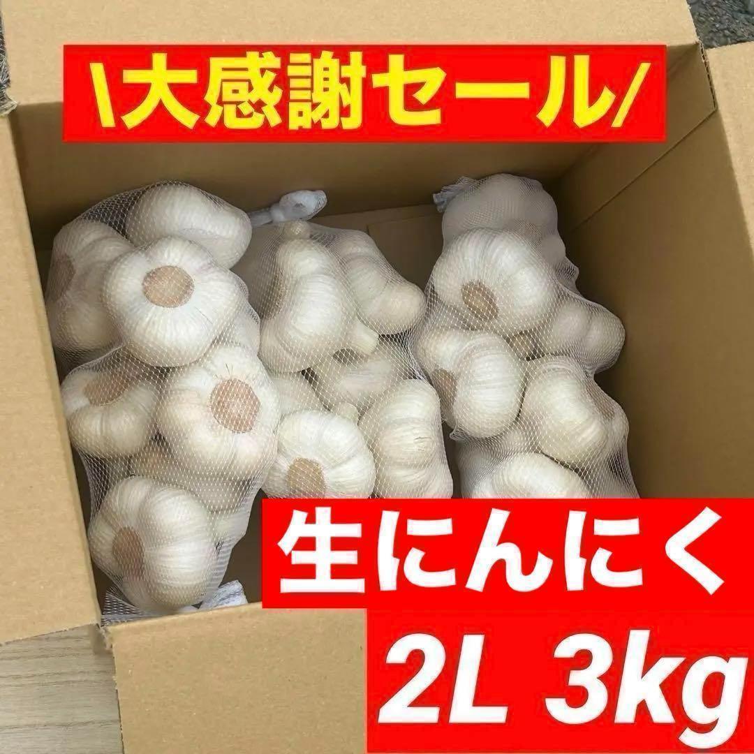 【大感謝セール】新物 青森県産 生にんにく 2L 3kg 福地ホワイト六片